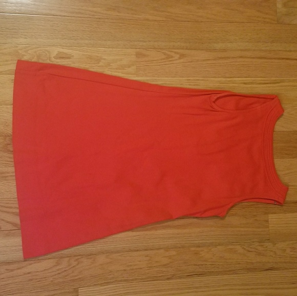 Shift Dress - Picture 4 of 5